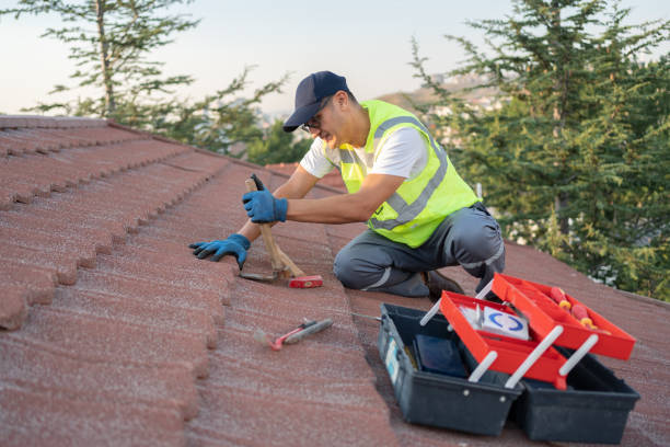 Roof Gutter Cleaning in Elida, OH